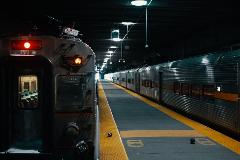Getting Around Richmond: Transport Links and Local Travel Tips